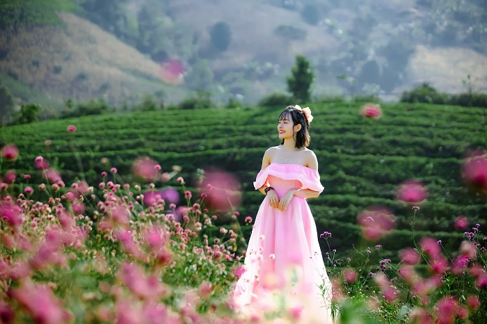 Lưu ý khi khám phá Một Khu Vườn Mộc Châu 