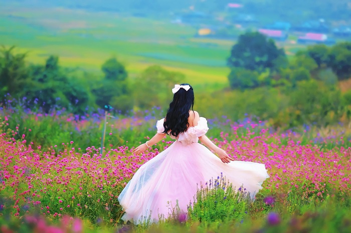 Một Khu Vườn Mộc Châu trồng vô số các loại hoa