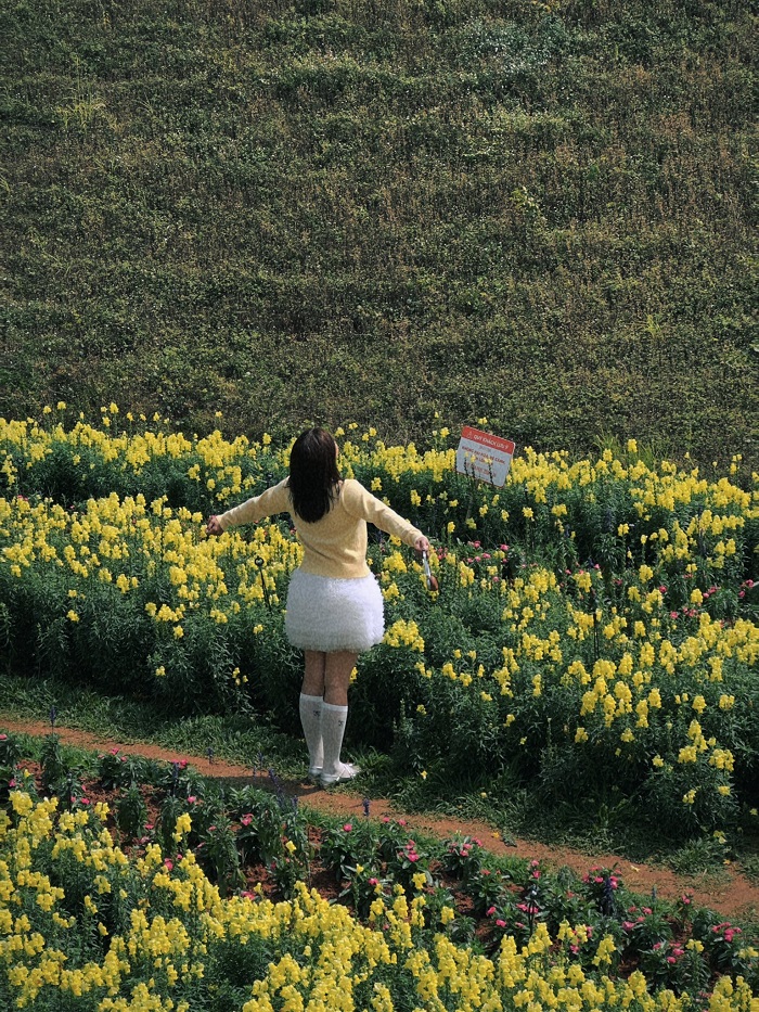 Một Khu Vườn Mộc Châu lên hình góc nào cũng đẹp