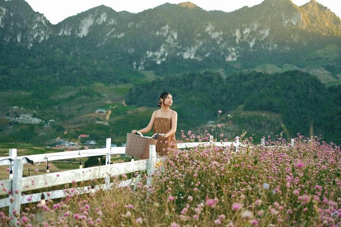 Một Khu Vườn Mộc Châu trồng đa dạng các loài hoa