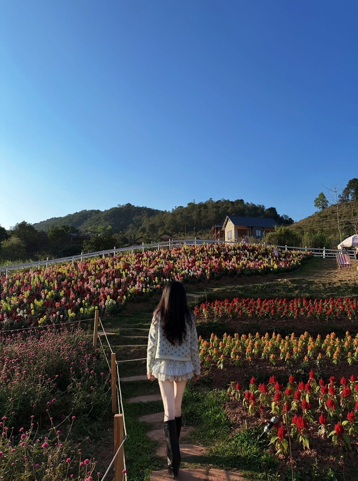 Một Khu Vườn Mộc Châu đẹp mọi thời điểm trong ngày