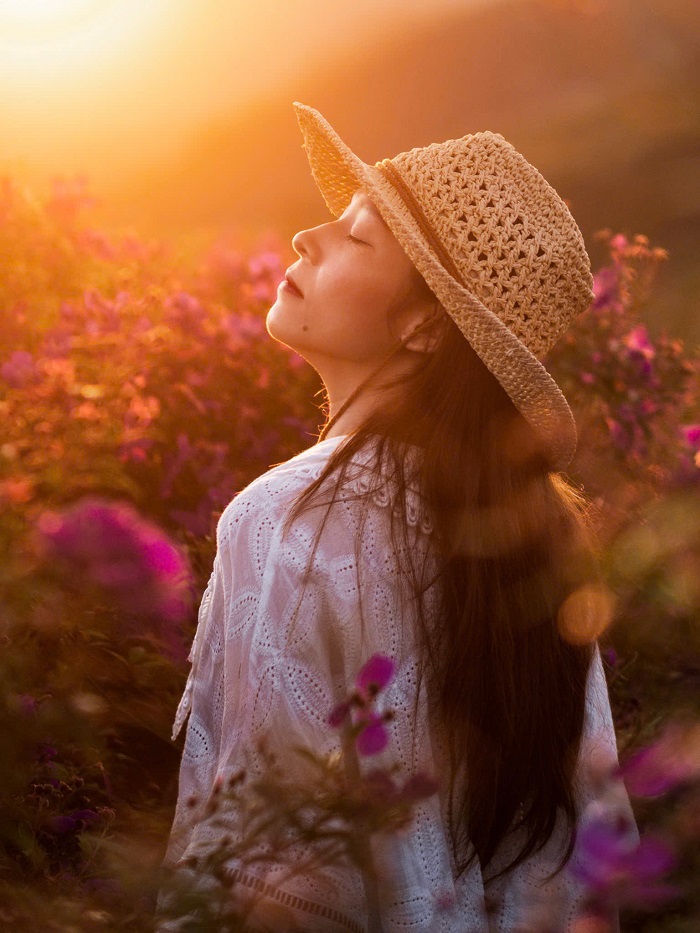 Lập team tới chiêm ngưỡng mùa hoa mua tím Bảo Lộc ngay thôi nào