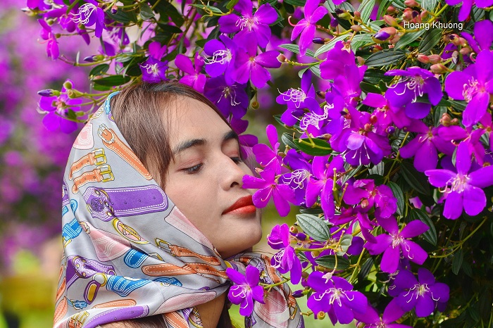 Mùa hoa mua tím Bảo Lộc thu hút nhiều nàng thơ tới check in