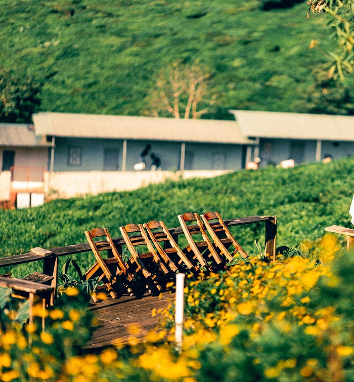 Tiệm cà phê Cánh Cam là quán cà phê đẹp ở Mộc Châu có view cực đỉnh