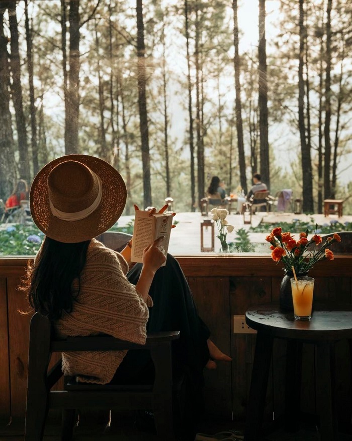 Little Forest Mộc Châu là quán cà phê đẹp ở Mộc Châu nằm giữa rừng thông