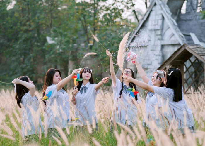 Khu camping The Meadow tại Thảo nguyên hoa Long Biên