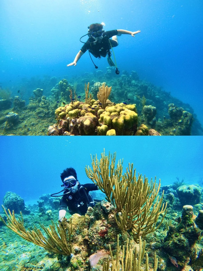 Thị trấn biển Varadero Cuba nổi tiếng với hoạt động lặn biển