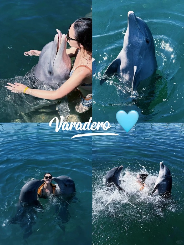 Thị trấn biển Varadero Cuba nổi tiếng với hoạt động bơi cùng cá heo