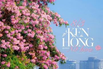 TP. Hồ Chí Minh ngập tràn sắc hồng qua góc máy của nhiếp ảnh gia Hoàng Bảo