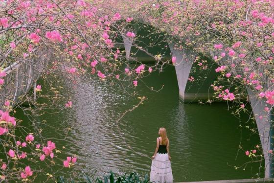 Cầu hoa giấy Ecopark Hưng Yên đẹp như chốn cổ tích, gần sít sịt Hà Nội