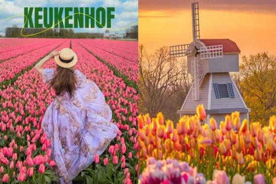 Mùa xuân thêm rực rỡ với trải nghiệm ‘mục sở thị’ các cánh đồng hoa tulip đẹp nhất ở Hà Lan