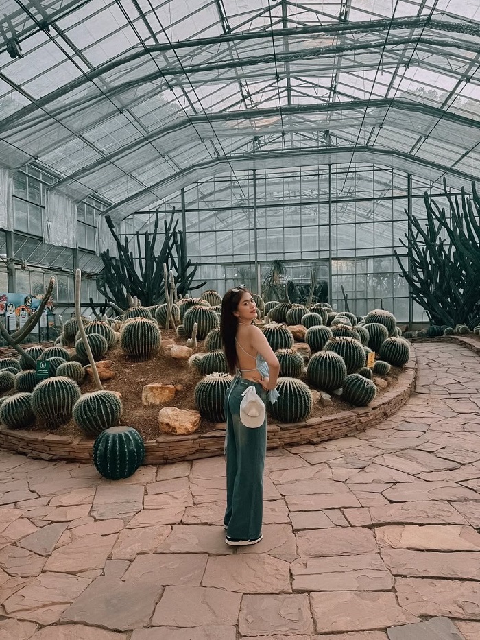 Lưu ý khi khám phá vườn ươm xương rồng Botanic Garden Thái Lan