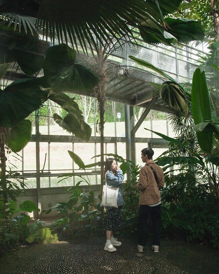 Vườn ươm xương rồng Botanic Garden Thái Lan tràn ngập sắc xanh