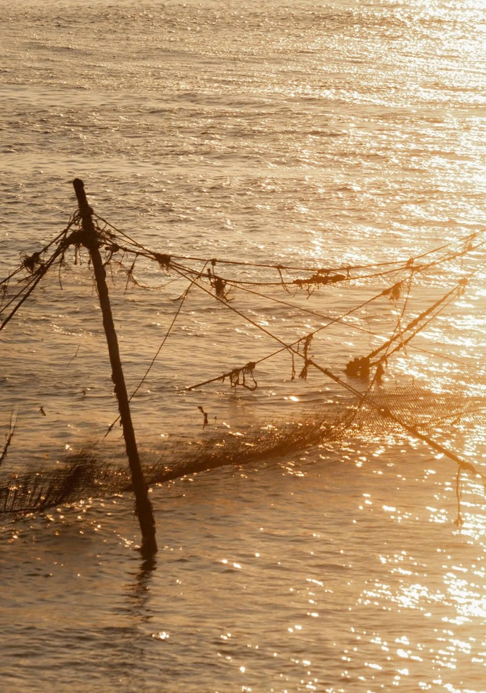 Những tấm lưới đánh cá cắm giữa mặt nước. Ảnh: Tuấn Thành