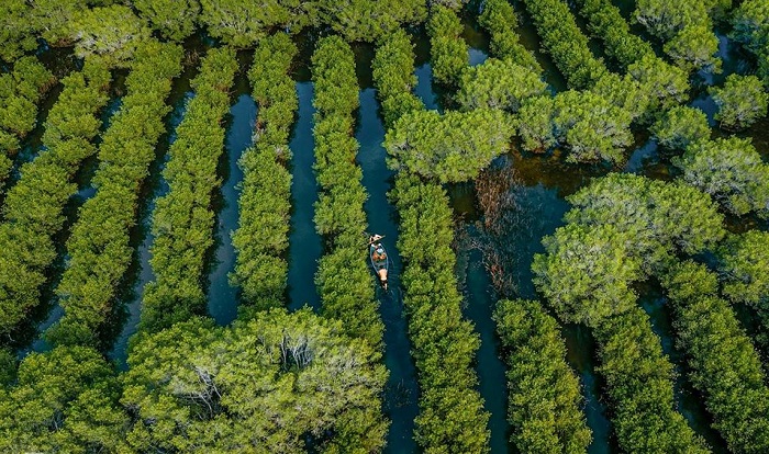 Bàu Cá Cái Quảng Ngãi 