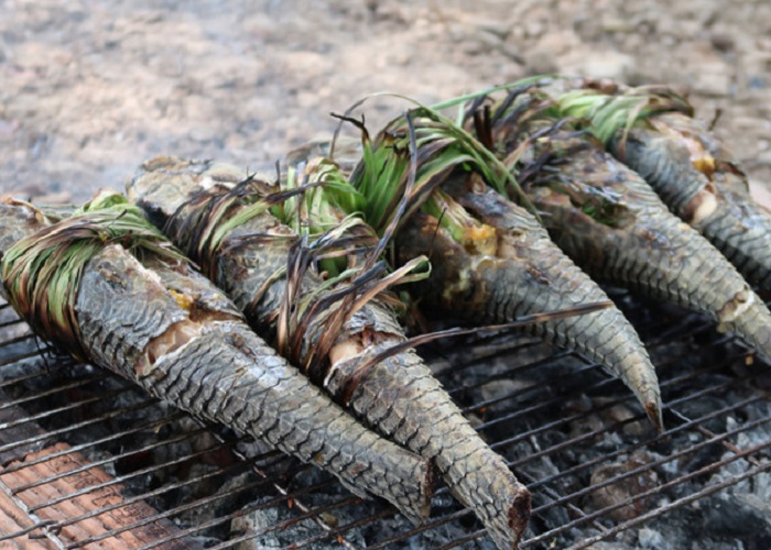 Cá lau kiếng và những món ăn ngon bá cháy của người miền tây