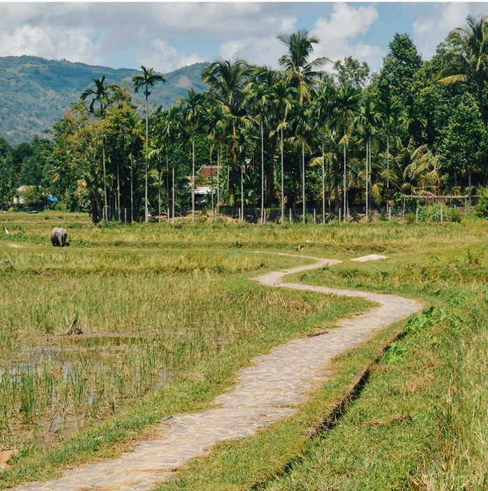 làng cổ Lộc Yên Quảng Nam 