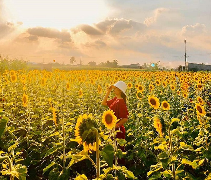 vườn hoa đẹp ở Đồng Nai 