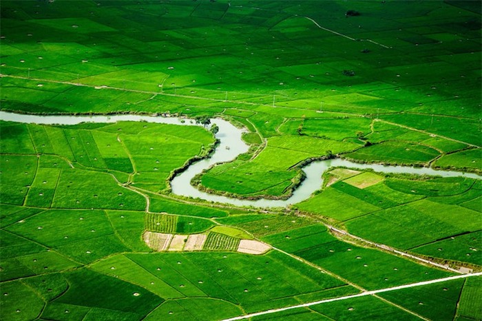 Thiên nhiên việt nam