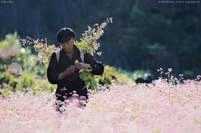 Lên Hà Giang ‘mù say say’ cùng chàng trai A Páo 