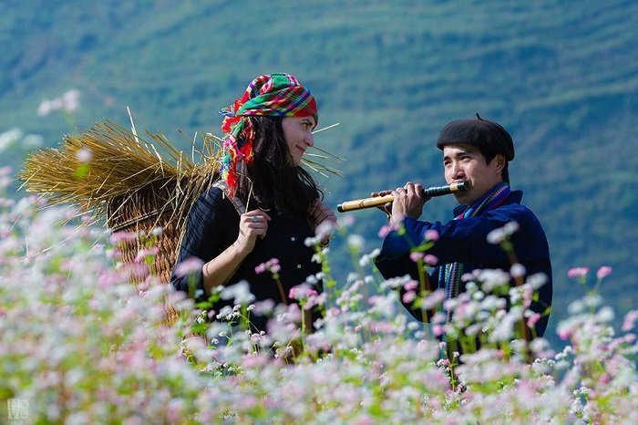 Lên Hà Giang ‘mù say say’ cùng chàng trai A Páo 