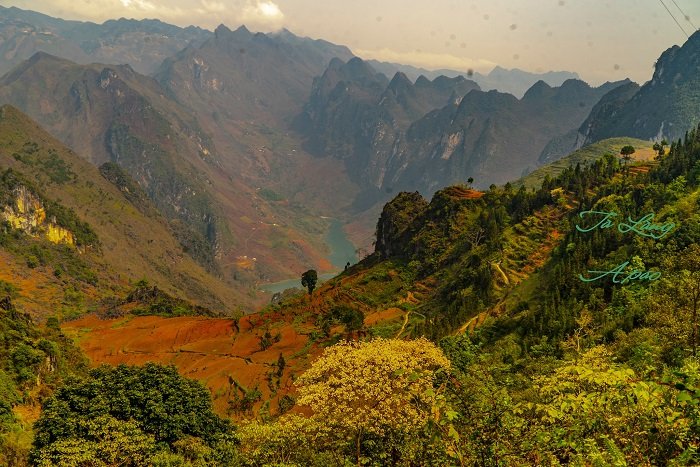 Lên Hà Giang ‘mù say say’ cùng chàng trai A Páo 