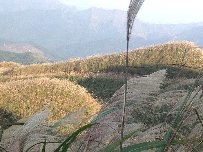 Theo chân nữ nghệ sỹ then Tày Hà Thị Ngọc khám phá ‘Sapa thu nhỏ’ tại Quảng Ninh 