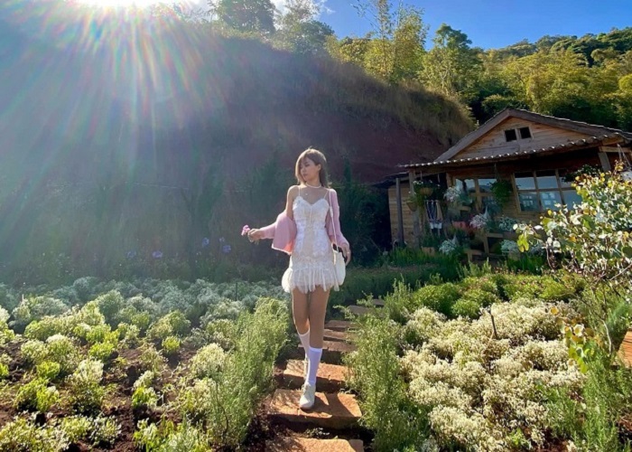 Check in ngay vườn hoa lavender Túi Thương Nhớ - điểm đến mới siêu lãng mạn ở Đà Lạt