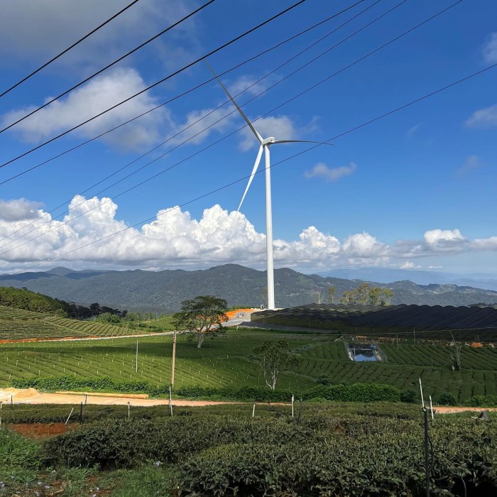 Tăng Thanh Hà du lịch Đà Lạt