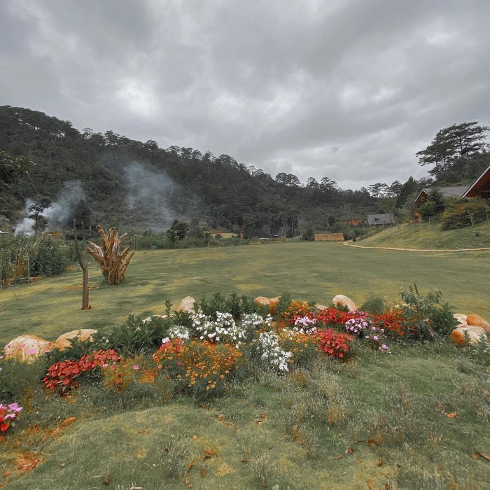Tăng Thanh Hà du lịch Đà Lạt