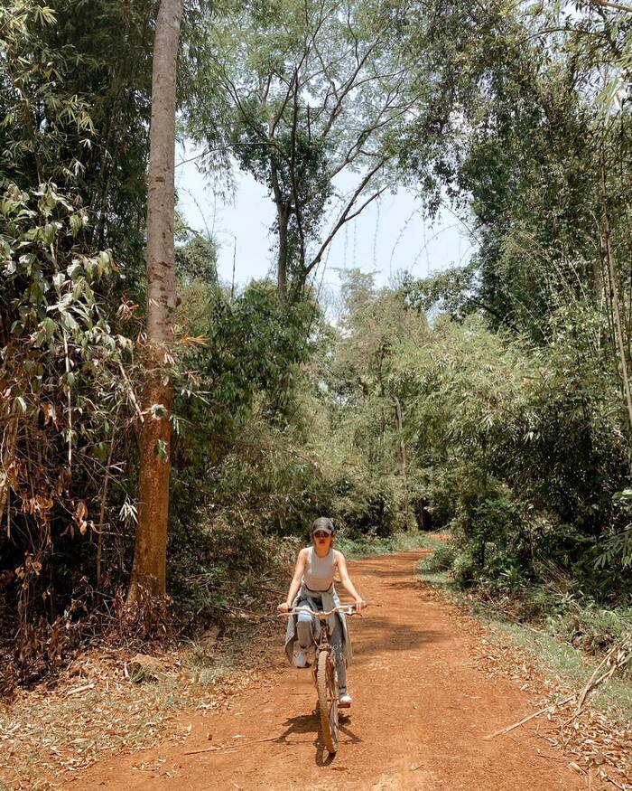 Đừng ‘lỡ hẹn’ với các địa điểm du lịch nổi tiếng ở Đồng Nai trong hành trình vi vu phương Nam thú vị