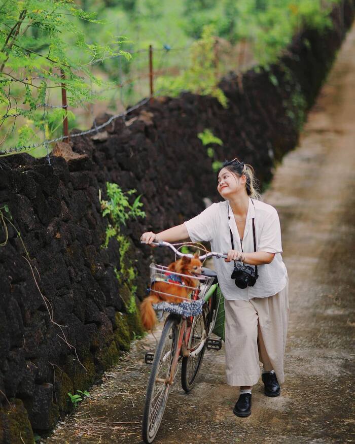 Đừng ‘lỡ hẹn’ với các địa điểm du lịch nổi tiếng ở Đồng Nai trong hành trình vi vu phương Nam thú vị