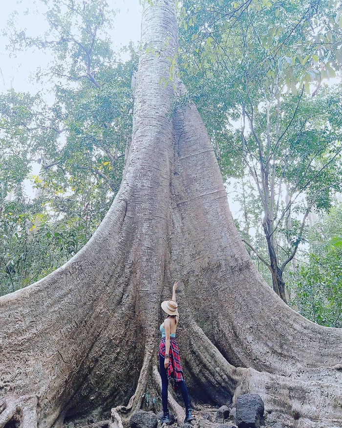 Đừng ‘lỡ hẹn’ với các địa điểm du lịch nổi tiếng ở Đồng Nai trong hành trình vi vu phương Nam thú vị