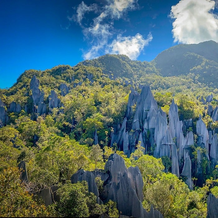 điểm du lịch nổi tiếng ở Malaysia - Vườn quốc gia Gunung Mulu