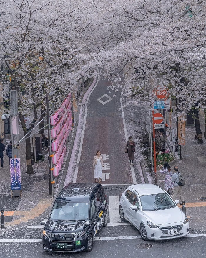 kinh nghiệm du lịch Tokyo - Shibuya Crossing