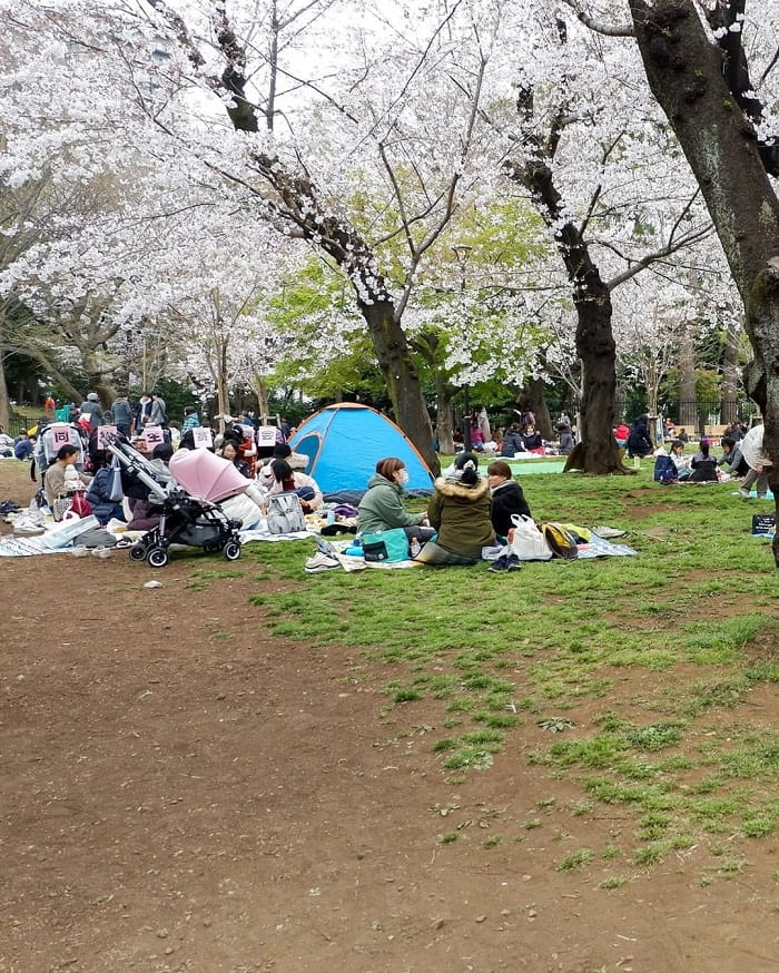 kinh nghiệm du lịch Tokyo - trải nghiệm