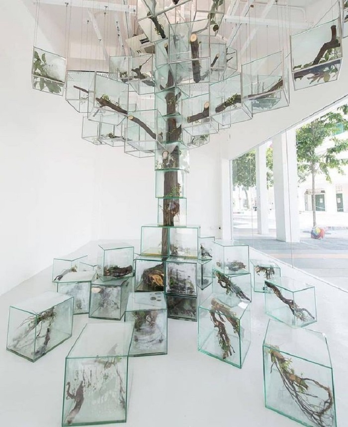 lịch trình du lịch Singapore 4 ngày 3 đêm - bảo tàng