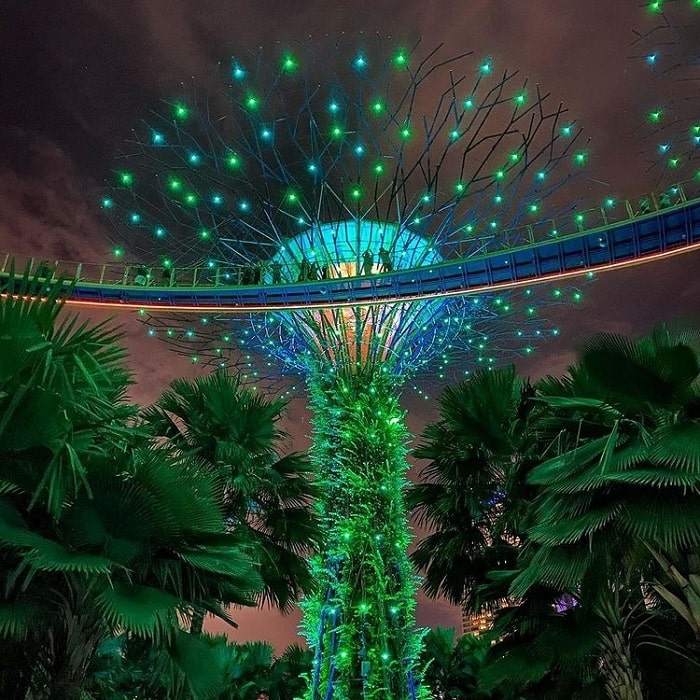 lịch trình du lịch Singapore 4 ngày 3 đêm - Garden by the bay