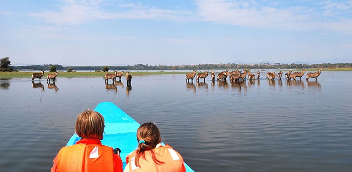 Hồ Naivasha Kenya