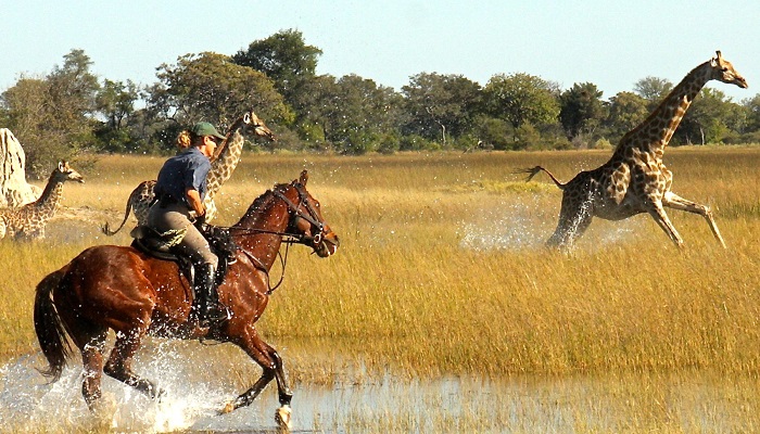 Hồ Naivasha Kenya