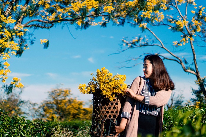 Bãi đá cổ làng Đôn Hyang