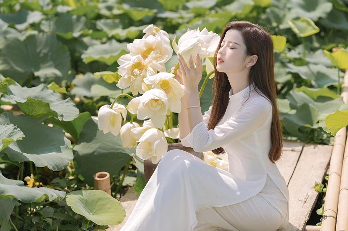 điều nên làm khi đến Hà Nội là chụp sen Hà Nội