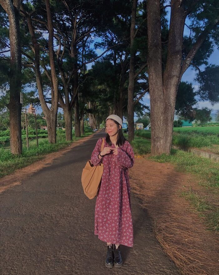 hàng thông trăm tuổi Gia Lai