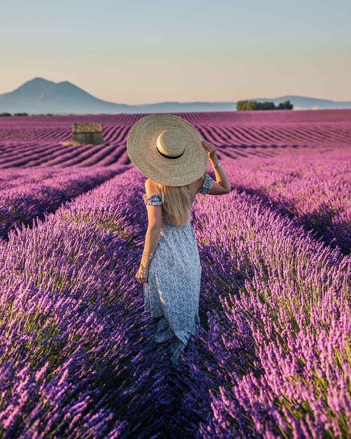 check in cánh đồng hoa lavender làng cổ Gordes Pháp 