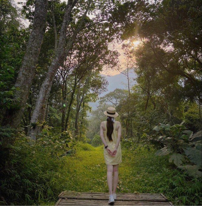 Bạn có thể tới Khu du lịch sinh thái Thiên Sơn Suối Ngà bằng nhiều phương tiện khác nhau