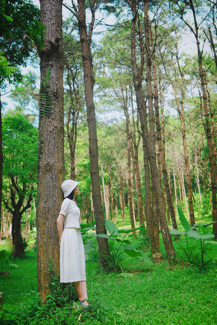 Bạn có thể ghé thăm Khu du lịch sinh thái Thiên Sơn Suối Ngà bất kể thời điểm nào