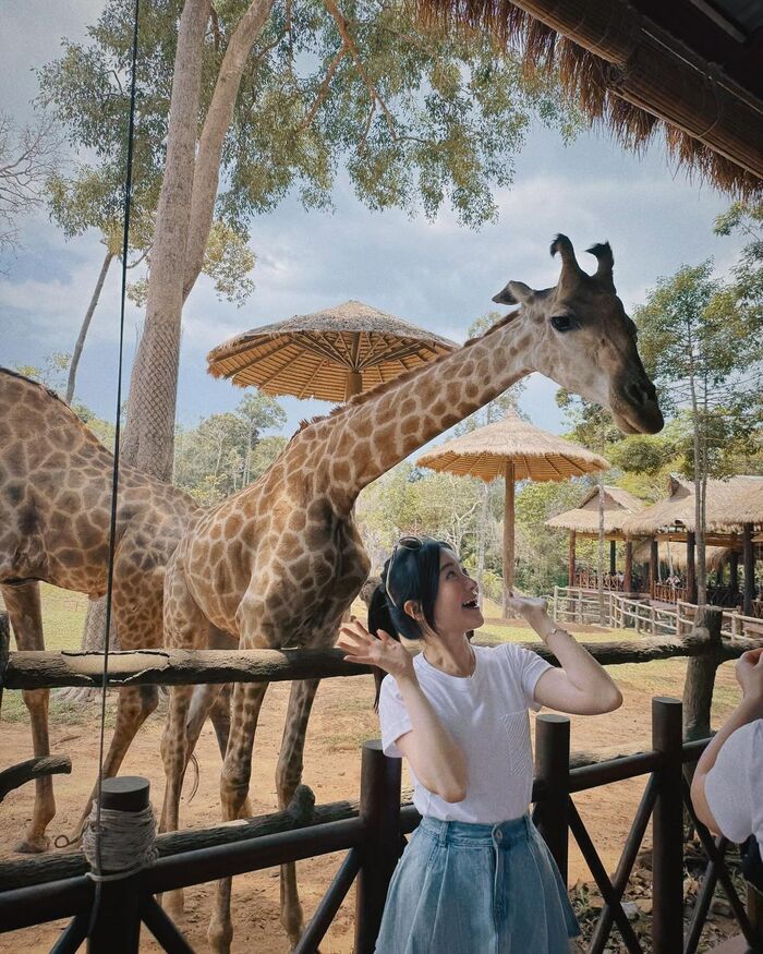 sở thú là địa điểm chơi lễ 30/4 - 1/5 ở Phú Quốc hút khách du lịch