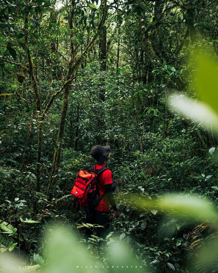 du lịch Đắk Lắk trekking khám phá vườn quốc gia Chư Yang Sin