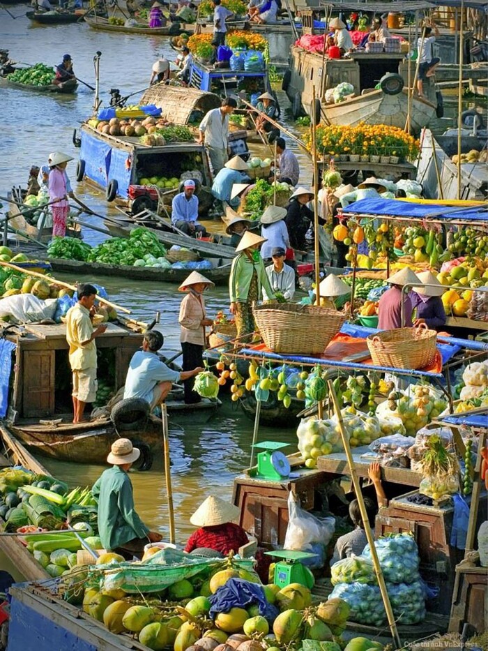 du lịch Vĩnh Long cảm nhận bầu không khí buôn bán náo nhiệt tại chợ nổi Trà Ôn