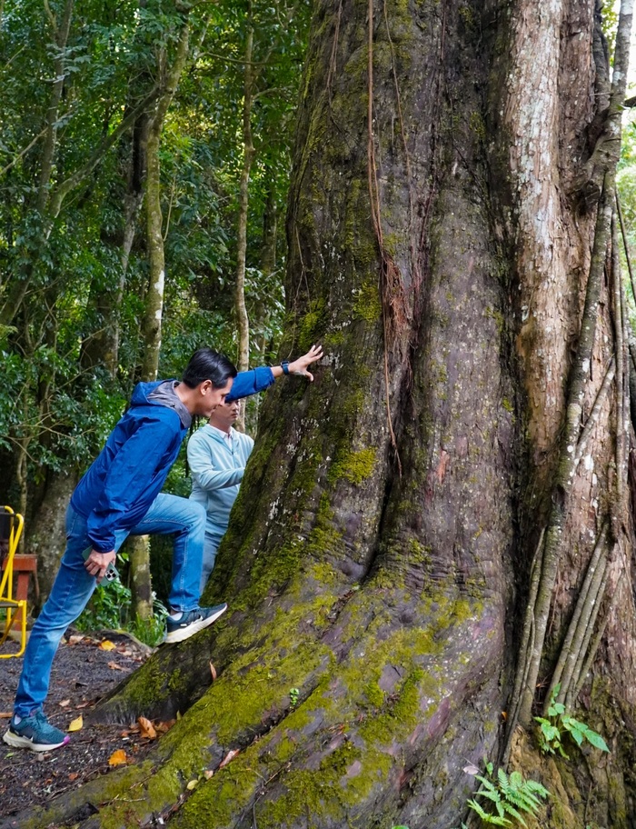 trekking khám phá rừng nguyên sinh ở khu du lịch Rừng Thông Núi Voi 